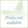 
 
 
 Au Pair in Las Vegas, NV, United States looking for a job: 3759967